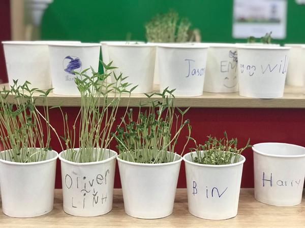 Apax Leaders lan tỏa thông điệp sống xanh-2