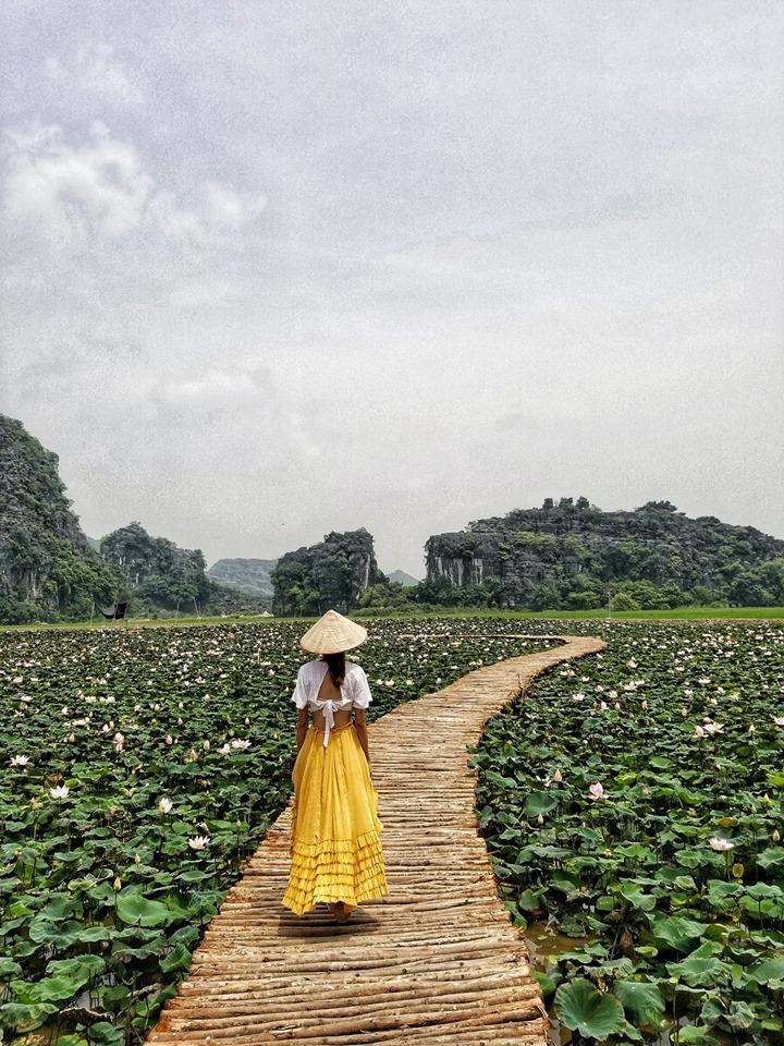 Xuất hiện đầm sen đẹp lạ lùng ở Ninh Bình làm giới trẻ mê mẩn muốn đến check in-1