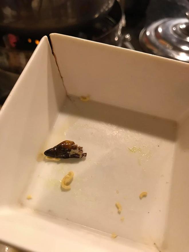 Ăn phải con gián béo ngậy trong nồi lẩu, cô gái lên mạng tố thì được chỉ ra lỗi sai-3