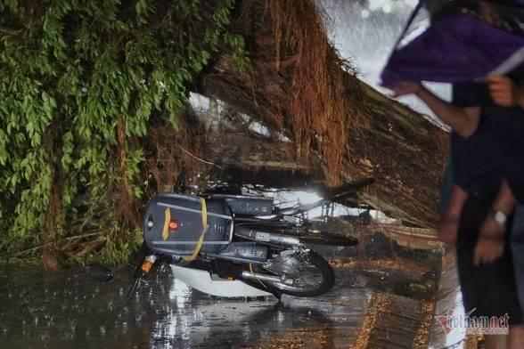 Giông lốc đánh úp, cây đổ la liệt giữa phố Hà Nội, một thanh niên tử vong-2