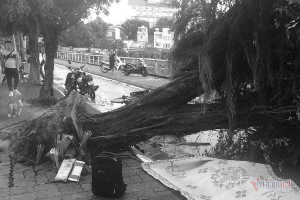 Giông lốc đánh úp, cây đổ la liệt giữa phố Hà Nội, một thanh niên tử vong-3