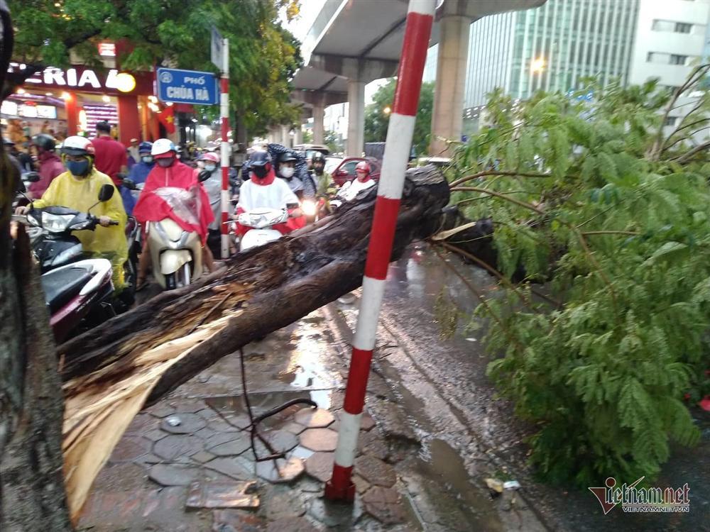 Giông lốc đánh úp, cây đổ la liệt giữa phố Hà Nội, một thanh niên tử vong-4