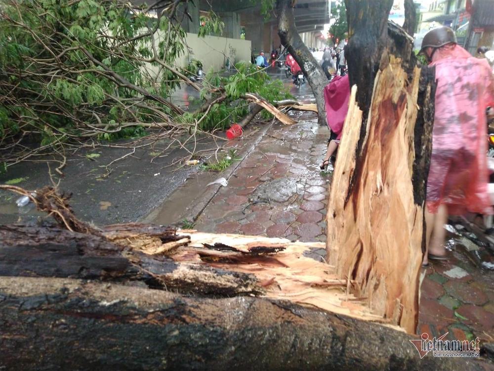 Giông lốc đánh úp, cây đổ la liệt giữa phố Hà Nội, một thanh niên tử vong-5