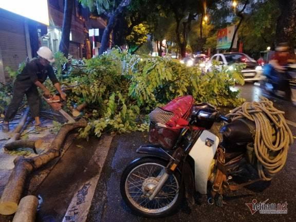 Giông lốc đánh úp, cây đổ la liệt giữa phố Hà Nội, một thanh niên tử vong-8