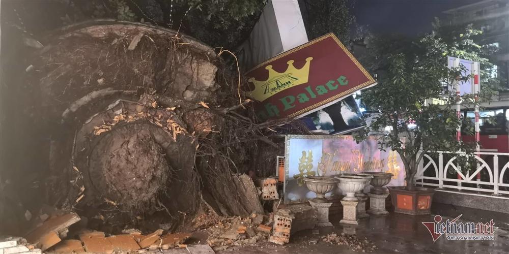 Giông lốc đánh úp, cây đổ la liệt giữa phố Hà Nội, một thanh niên tử vong-12