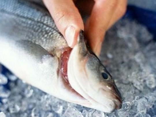 Những cách ăn cá vô tình rước độc vào thân-4