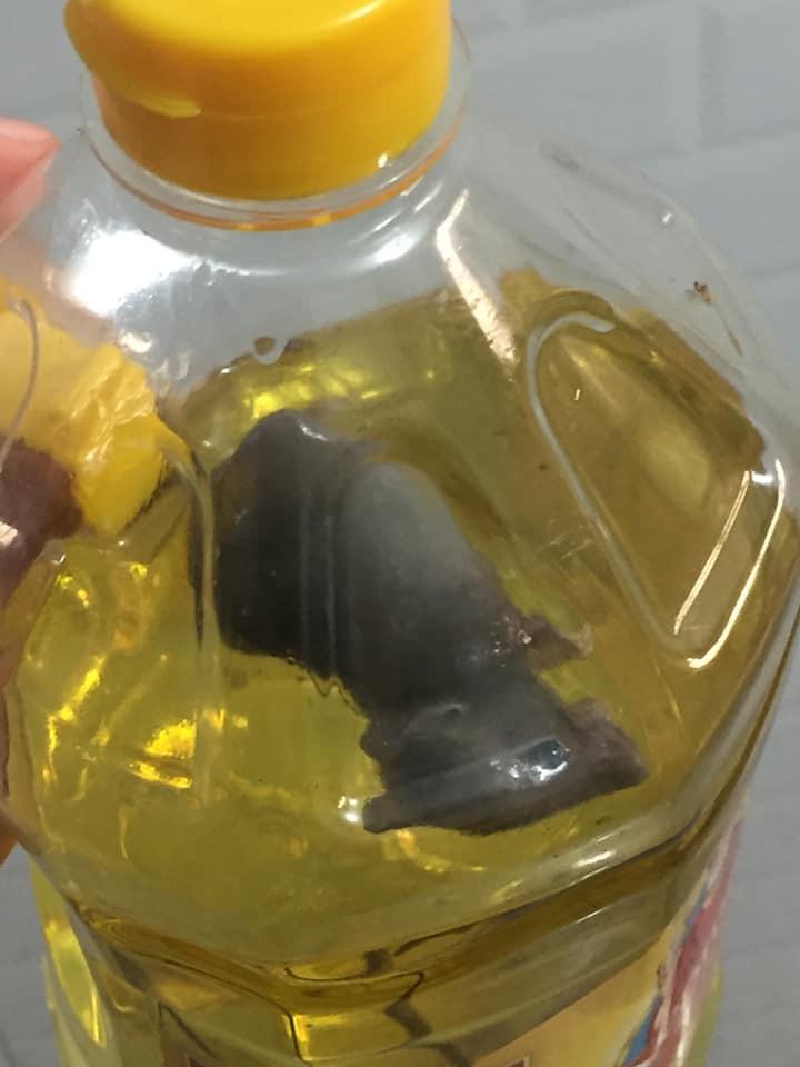 Xuất hiện con chuột chết trong chai dầu ăn, cô nàng lên mạng than vãn sợ hãi nhưng dân mạng thắc mắc một điều...-2