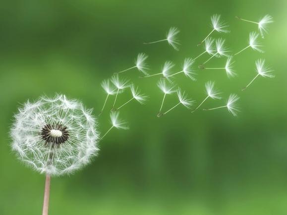 Tử vi tháng 9/2019 của 12 con giáp: Tý thuận lợi đủ đường, Thìn dính họa thị phi-1