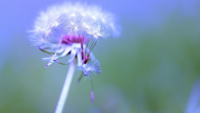 Tử vi tháng 9/2019 của 12 con giáp: Tý thuận lợi đủ đường, Thìn dính họa thị phi-3