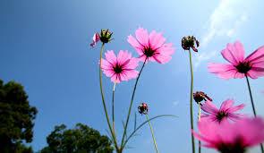 Tử vi tháng 9/2019 của 12 con giáp: Tý thuận lợi đủ đường, Thìn dính họa thị phi-4