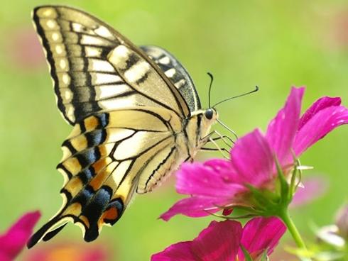 Sáng sớm thấy dấu hiệu này là thần tài đang 'mỉm cười' đưa lộc đến tận nhà, may mắn không kể hết