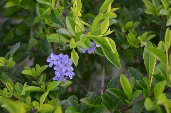 10 điều phải chú ý nếu muốn cuộc hôn nhân bền vững-1