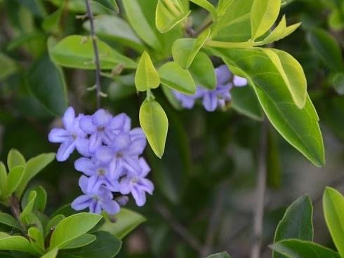 10 điều phải chú ý nếu muốn cuộc hôn nhân bền vững