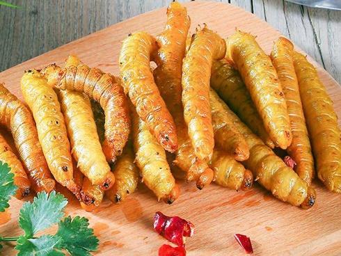 Loài sâu béo được người Trung Quốc nghiền ra ăn như thịt khiến ai cũng hãi hùng