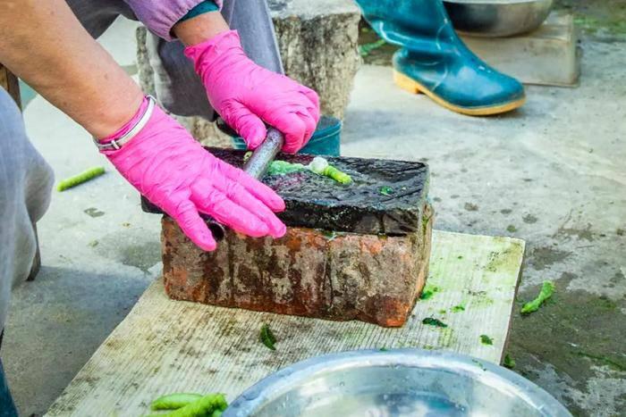 Loài sâu béo được người Trung Quốc nghiền ra ăn như thịt khiến ai cũng hãi hùng-4