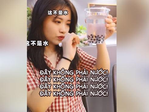 Bún tôm, sam biển lạ miệng khi đến vùng biển Cát Bà-3