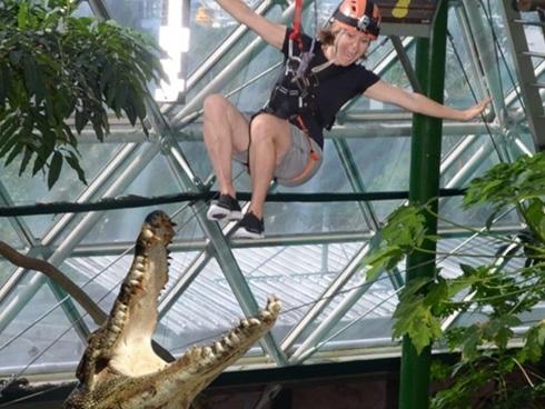 Hành khách gặp tai nạn, văng ra ngoài trong trò chơi mạo hiểm-1