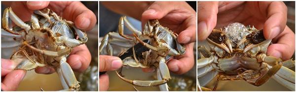 Cách làm sạch cua đơn giản mà nhanh, ăn bao nhiêu cũng không sợ đầy bụng-5