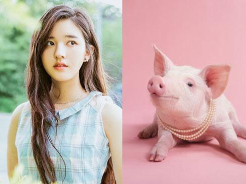 Kể từ tháng 9 dương, 3 cung hoàng đạo sau nhanh chóng mua két cất tiền, tình duyên nở rộ-4