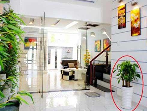 Cứ trách Thần Tài vô tâm, nhưng nếu nhà bạn nằm trên thế đất này thì cúng hoài cũng không phát được-3