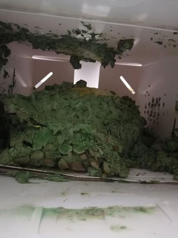 Pha nhào lộn có 1 không 2 của shipper khi giao pizza làm dân mạng cười nghiêng ngả, khách nhận khóc ròng-5