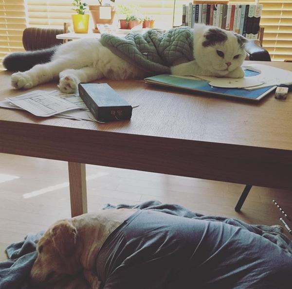 Khiến Ahn Jae Hyun sống dở chết dở, Goo Hye Sun tiết lộ điều luật hôn nhân: Không dùng bạo lực-3