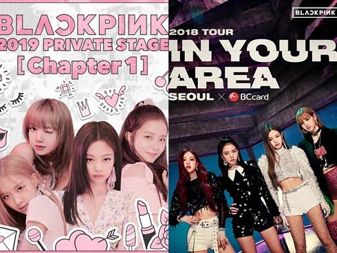 Tin nổi không: Black Pink đang bị chế giễu là 'nhóm nhạc không có fan'