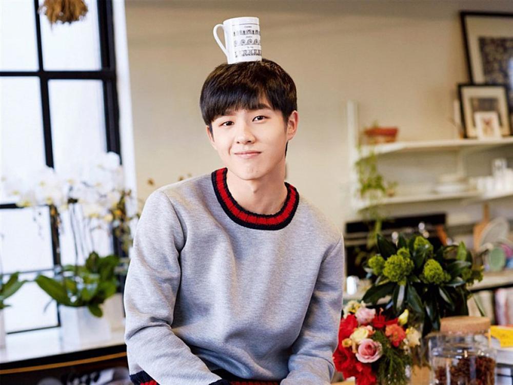 Điểm mặt tứ tiểu sinh sau 1995 đang làm mưa làm gió làng giải trí Trung Quốc-11