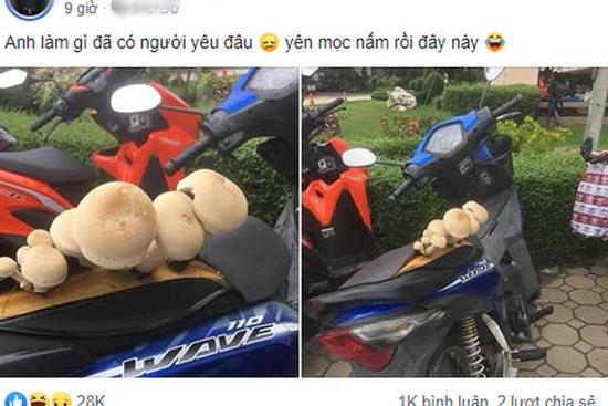 Anh chàng than ế dài cổ rồi đăng 1 bức ảnh làm dân mạng cười nghiêng ngả