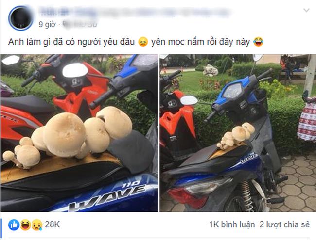 Anh chàng than ế dài cổ rồi đăng 1 bức ảnh làm dân mạng cười nghiêng ngả-1