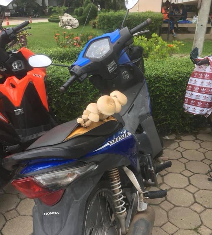 Anh chàng than ế dài cổ rồi đăng 1 bức ảnh làm dân mạng cười nghiêng ngả-2