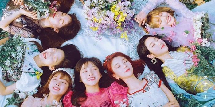 Sau sự cố Jiho ngã gục trên sân khấu, concert sắp tới của Oh My Girl chính thức bị đình chỉ-1