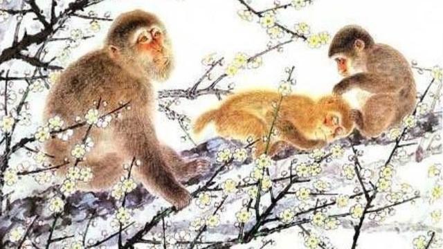 3 con giáp bất ngờ lội ngược dòng trong những tháng cuối năm, cuộc sống viên mãn không phải lo nghĩ-1