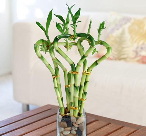 4 dấu hiệu lạ cho thấy thần may mắn mỉm cười với bạn, hãy nắm bắt để cuộc sống giàu sang-2