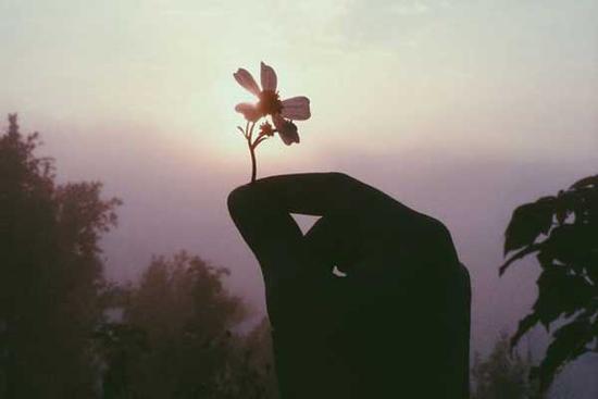 Tử vi thứ Bảy ngày 7/9/2019 của 12 con giáp: Tý bị tiểu nhân ngáng đường, Mão lại có quý nhân phù trợ