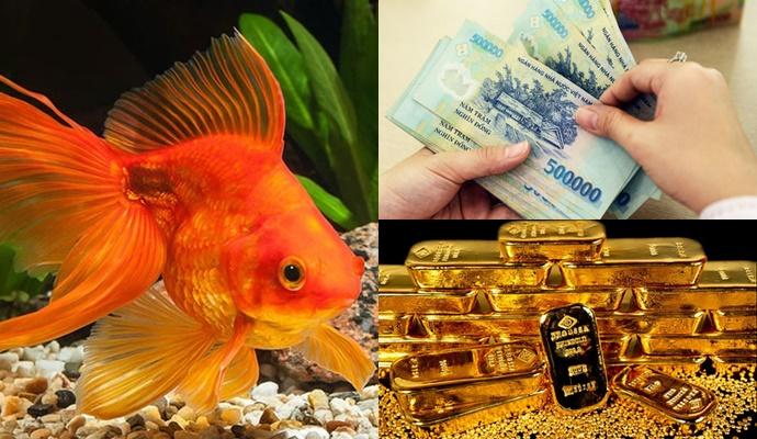 4 giấc mộng vàng là điềm báo thần Tài đang vẫy tay chào đón, may mắn dồn dập đến nhà-1