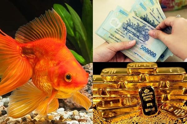 Tử vi Chủ nhật ngày 8/9/2019 của 12 con giáp: Dần bị tiểu nhân hãm hại, Thân được quý nhân nâng đỡ-6