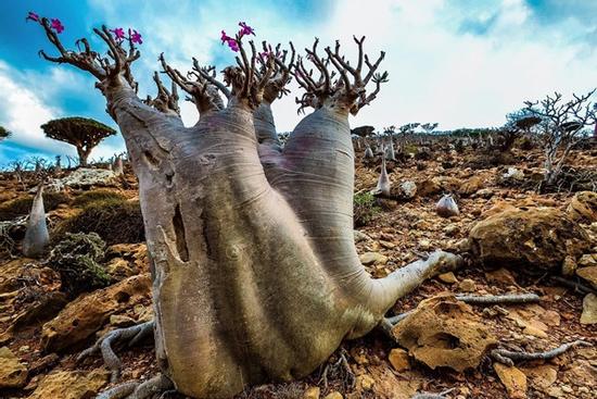 Hòn đảo biệt lập có vẻ đẹp tựa trên hành tinh khác