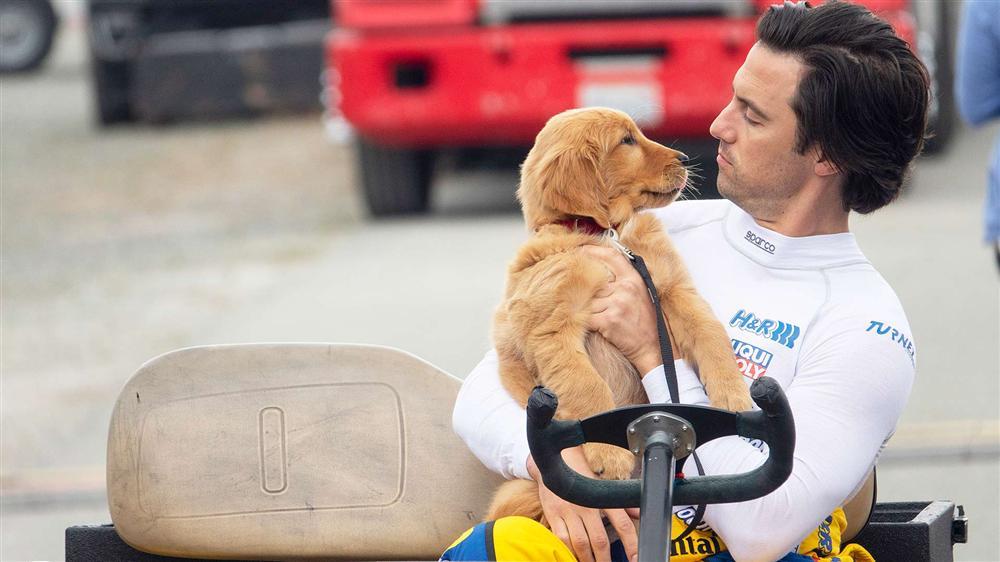 Những phim cảm động về con người và thú cưng-5