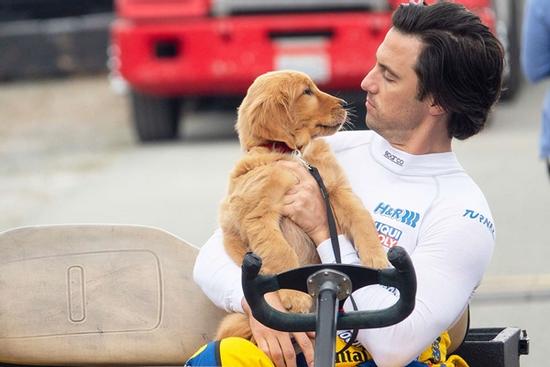 Những phim cảm động về con người và thú cưng