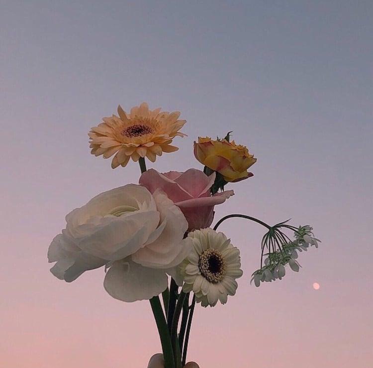 Tử vi thứ Tư ngày 11/9/2019 của 12 con giáp: Sửu mâu thuẫn yêu đương, Thìn không nên liều lĩnh-2