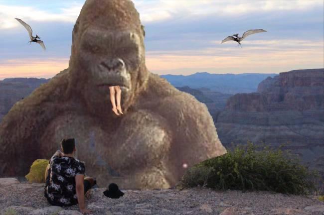 Chàng trai nhờ dân mạng photoshop xóa hình bạn gái cũ và cái kết khó đỡ-4