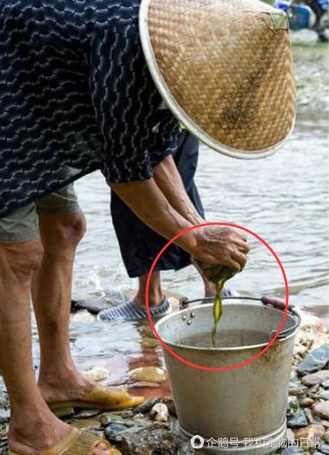 Đặc sản đãi khách quý của người TQ khiến ai cũng hãi hùng buông đũa nếu biết cách làm-5