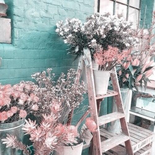 Tử vi thứ Bảy ngày 14/9/2019 của 12 con giáp: Ngọ vun đắp gia đình, Thân áp lực bủa vây-2