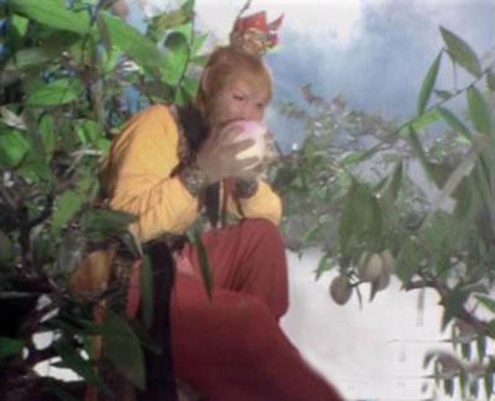 Sự thật về nhân sâm, đào tiên trường sinh bất lão trong ‘Tây du ký-2