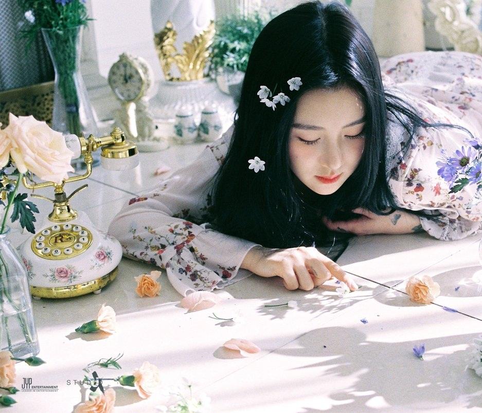 Tử vi Chủ Nhật ngày 15/9/2019 của 12 con giáp: Mùi vận tài chính giảm sút, Dậu cần chải chuốt ngoại hình-1