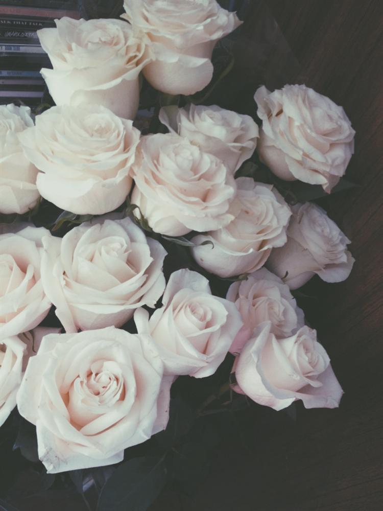 Tử vi tuần mới 12 con giáp từ 16/9/2019 - 22/9/2019: Thân hao hụt tài chính, Hợi tránh xa tiệc tùng-2