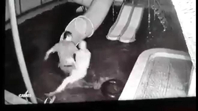 Người vợ bị dìm xuống nước: 10 năm qua, mỗi lần say Linh lại đánh tôi-1