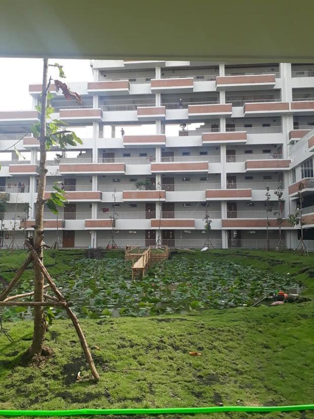 Trường đại học dựng cầu tre bắc ra hồ sen cho sinh viên sống ảo nhận về bão like từ cư dân mạng-3