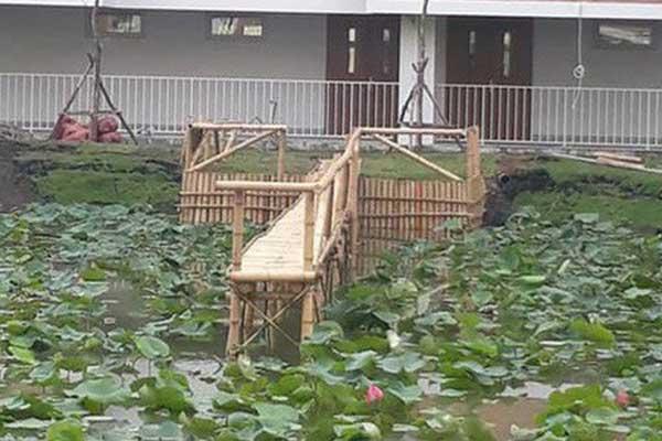 Những ngôi trường check-in xịn sò khiến sinh viên chăm chỉ đi học mỗi ngày-23